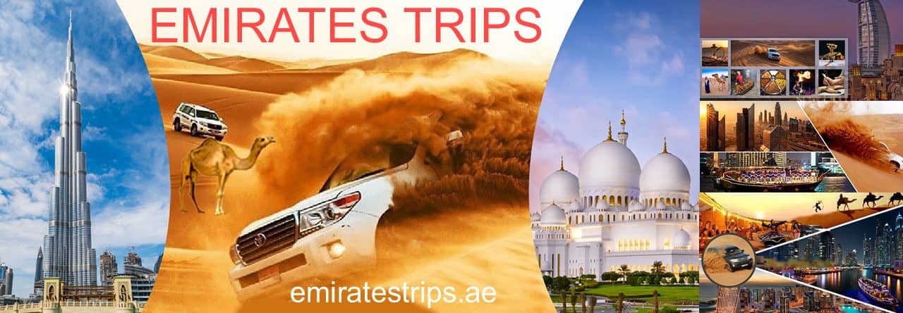 Abu Dhabi City tour | Morning Desert Safari | Evening Desert Safari | Desert Safari Dubai